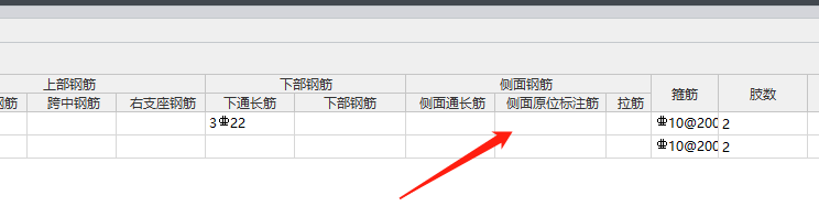 梁側(cè)面