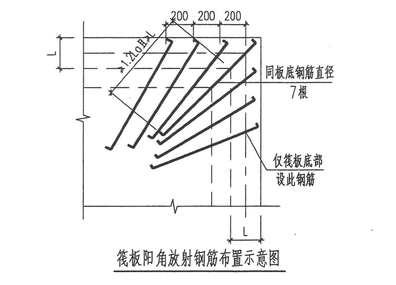 放射筋