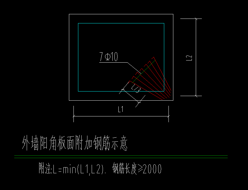 放射筋