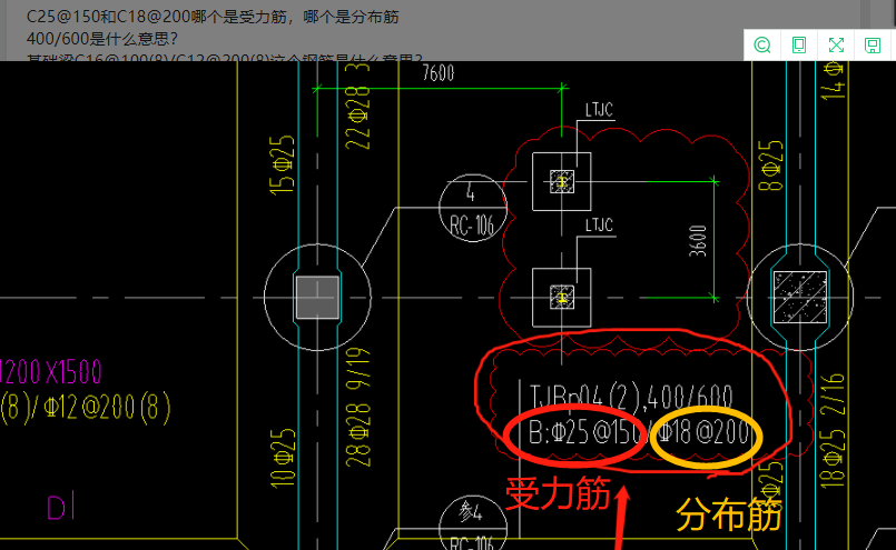 分布筋