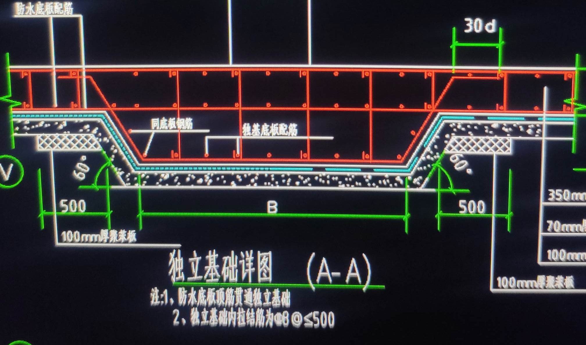 條基