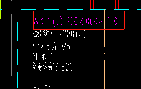 次梁集中標注