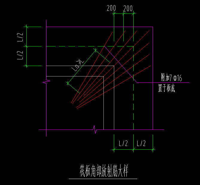 放射筋
