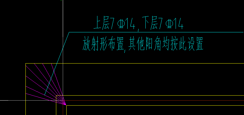 放射筋