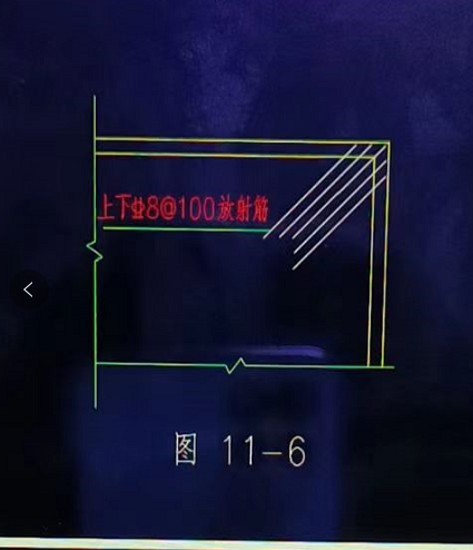 放射筋