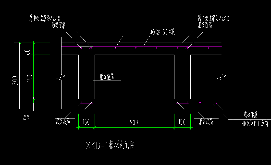 肋梁