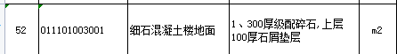 項目特征