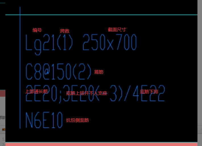 通長筋