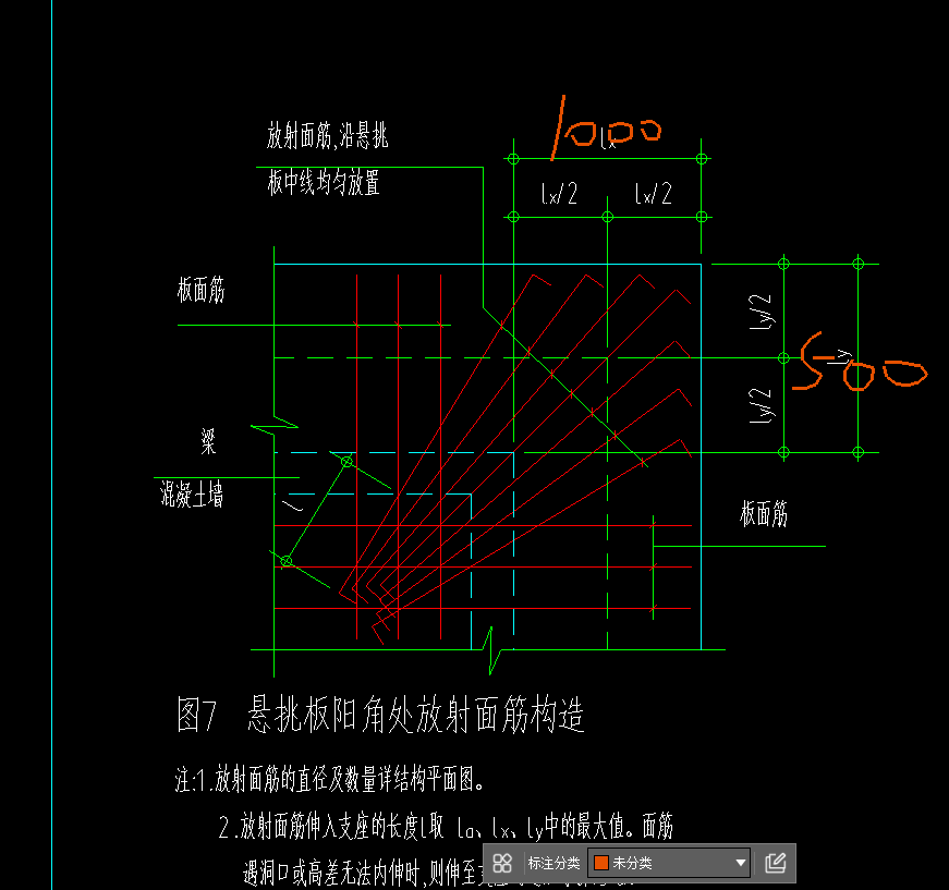放射筋