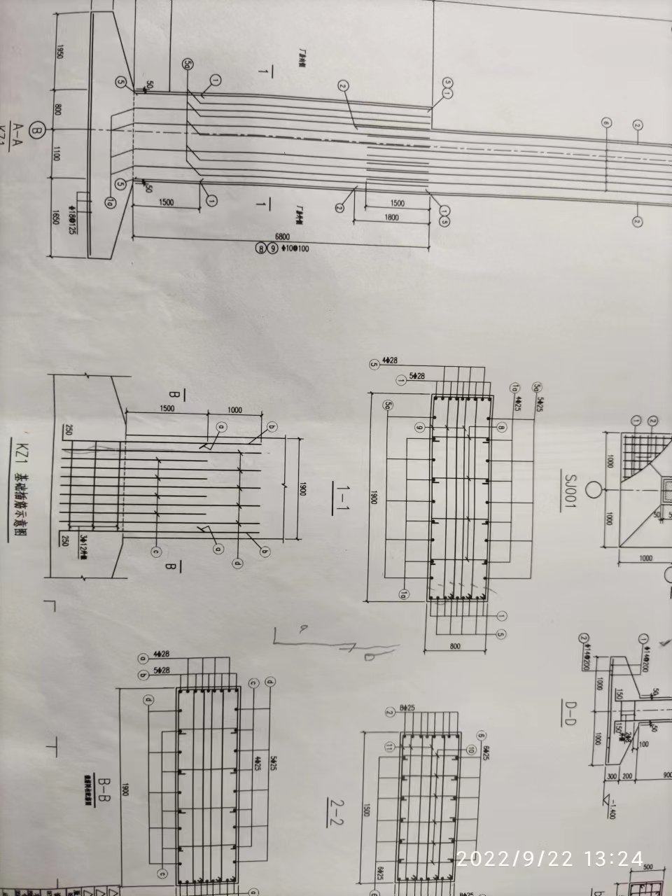 角筋