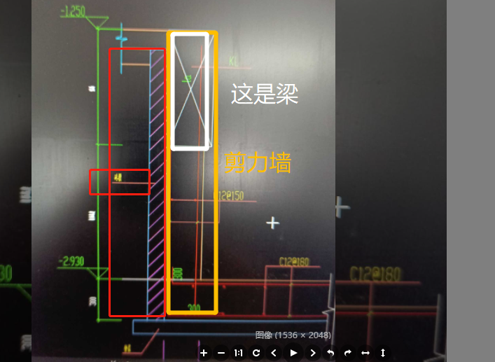 胎膜