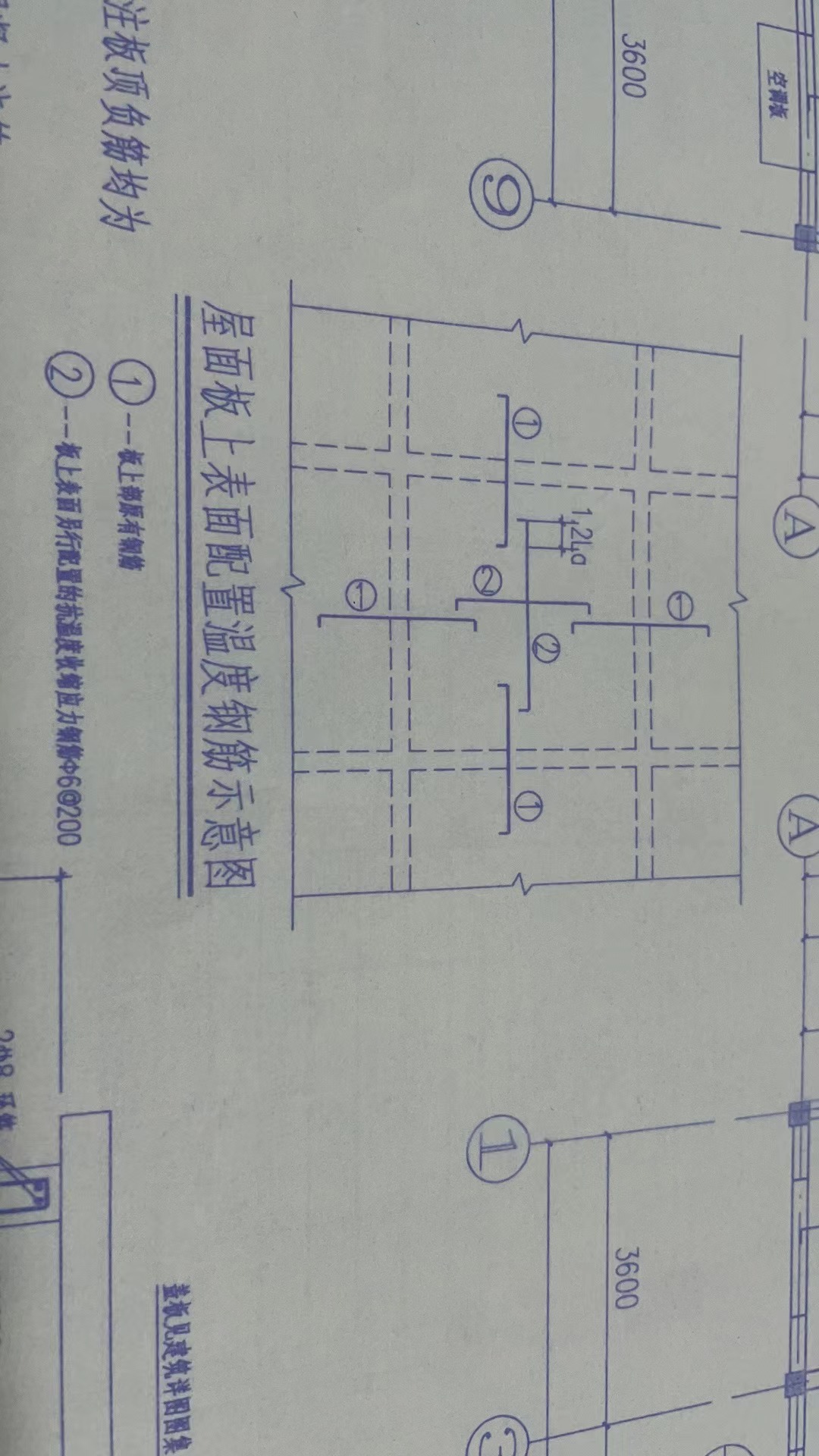 溫度筋