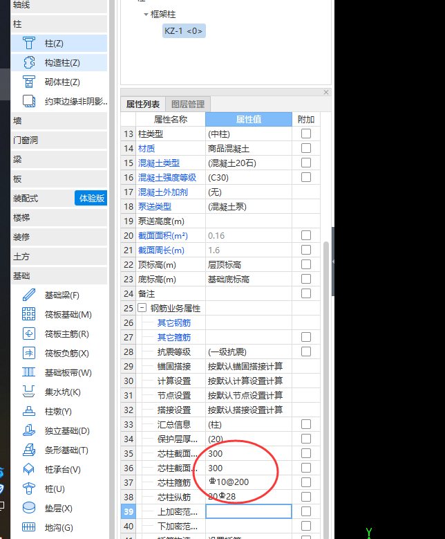 芯柱