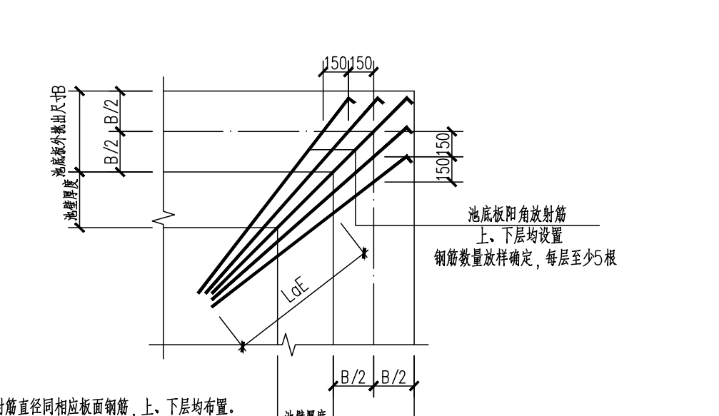 放射筋