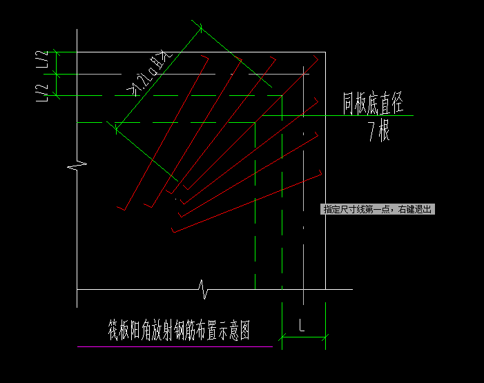 放射筋
