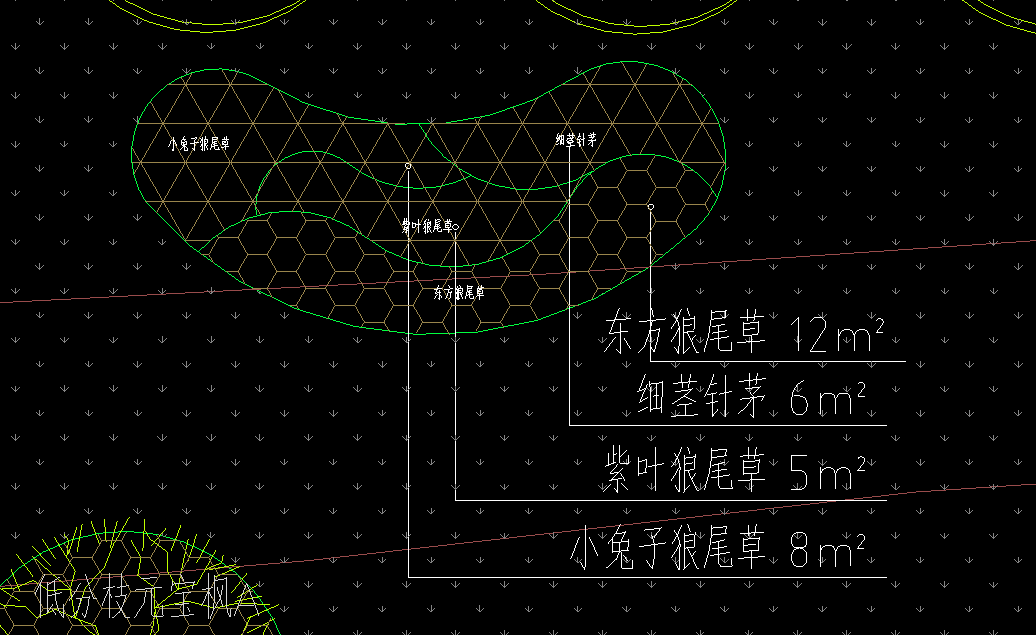 帶定額