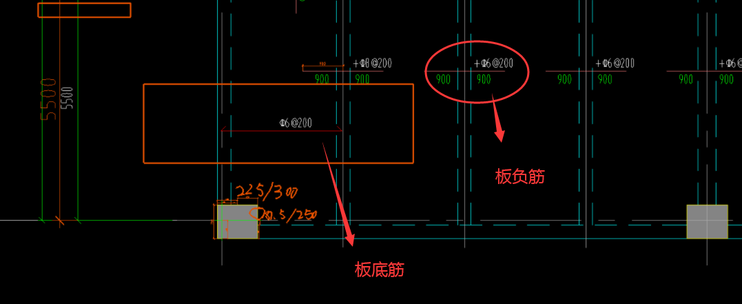 筋線