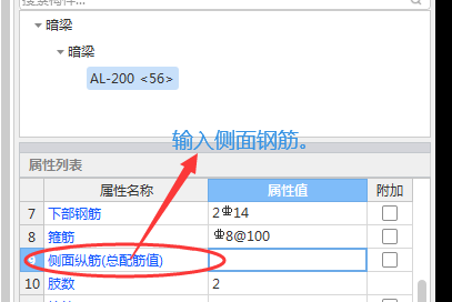 側(cè)面構(gòu)造鋼筋