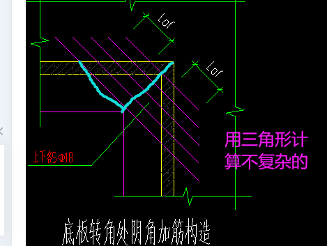 放射筋長度