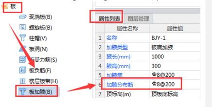 分布筋