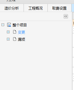 漏項(xiàng)