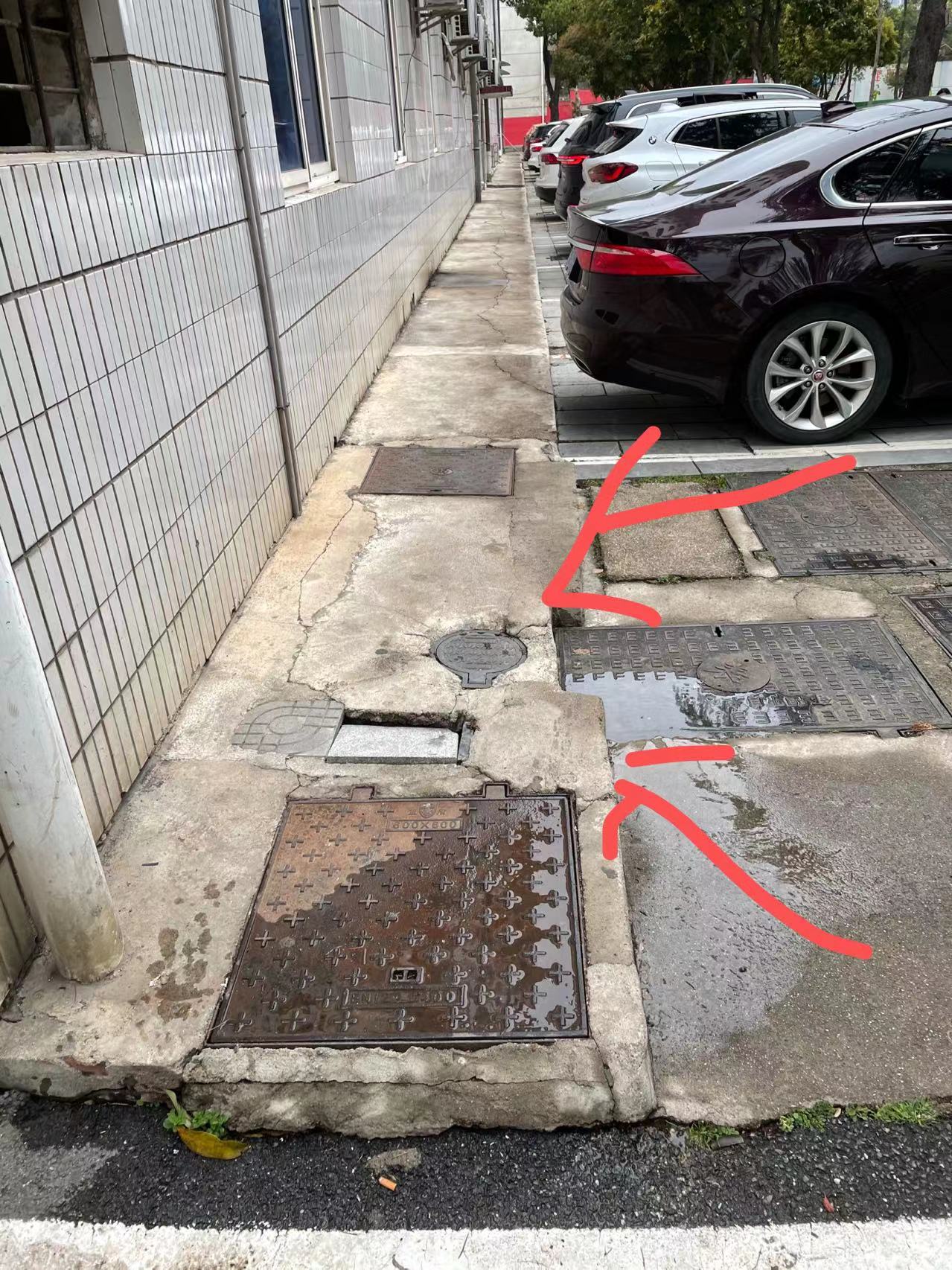 散水