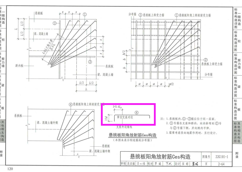 放射筋