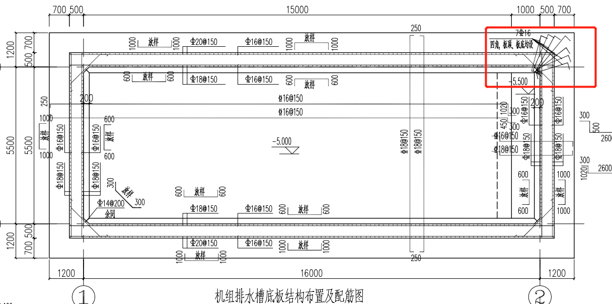 放射筋