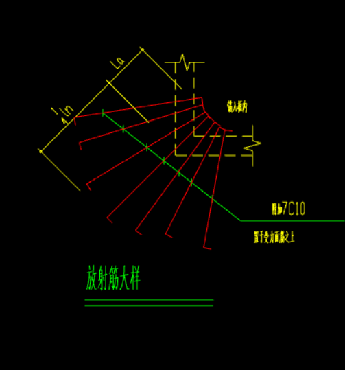 放射筋
