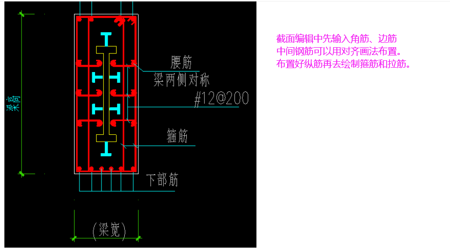 縱筋和拉筋