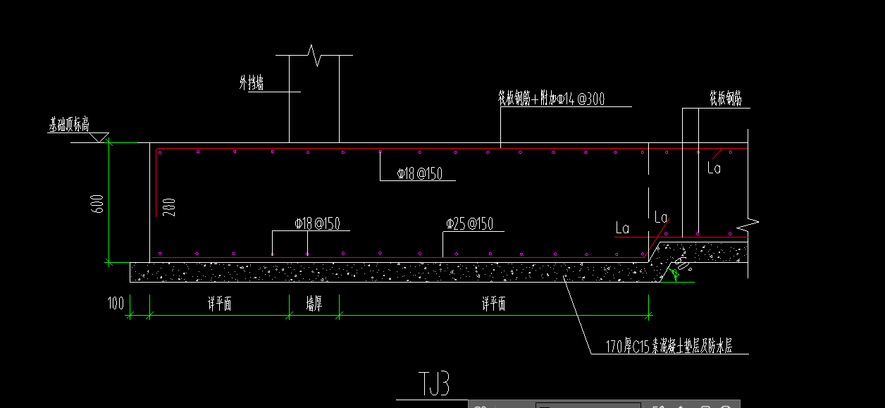 條基