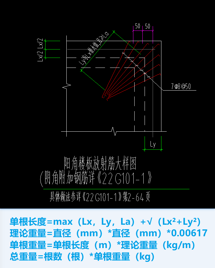 放射筋