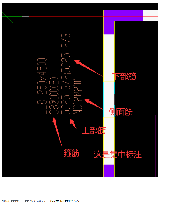 鋼筋原位標注