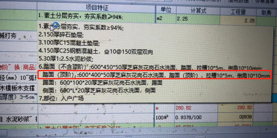 項目特征