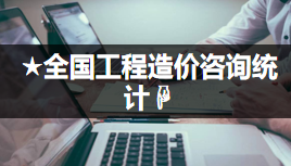 ★全國工程造價咨詢統計?