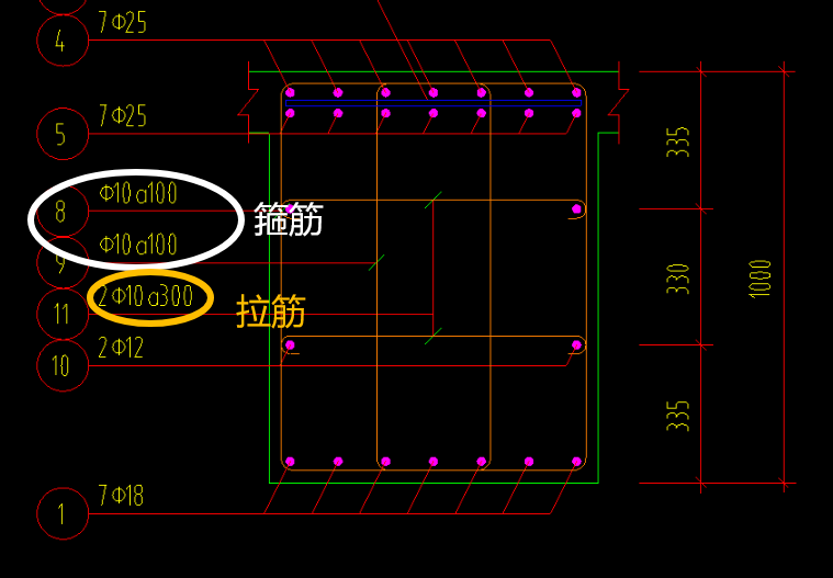 梁截面
