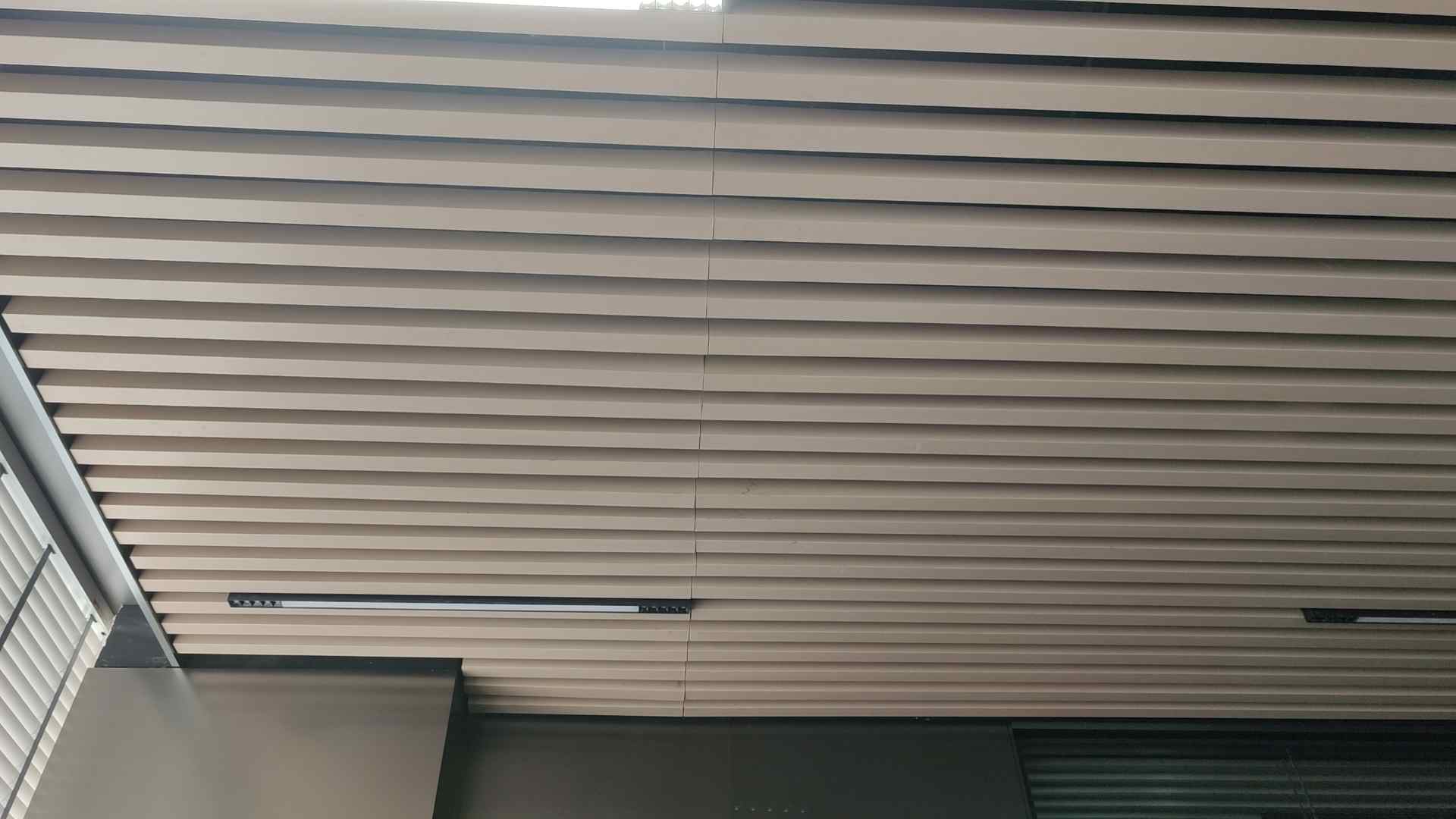 項目特征