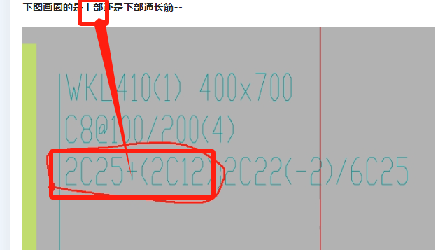 通長筋