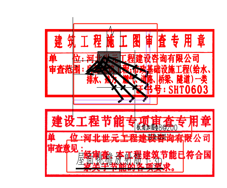 放射筋