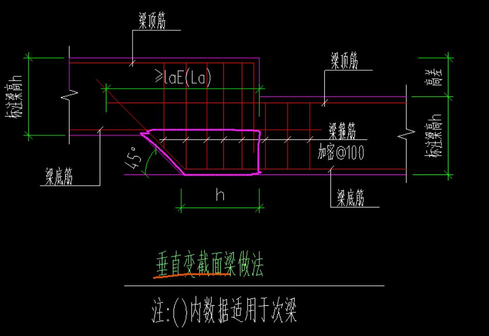 截面