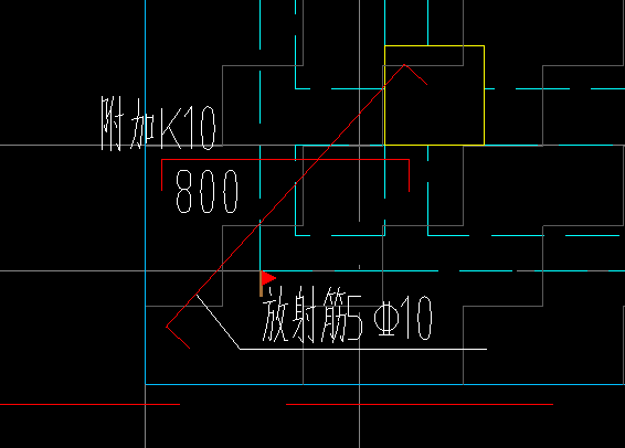 放射筋
