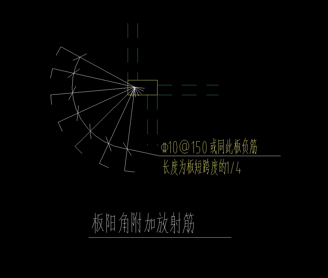 放射筋
