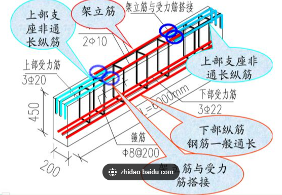 立筋