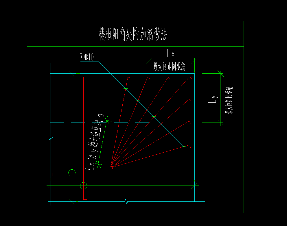 放射筋