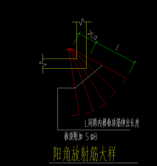 放射筋