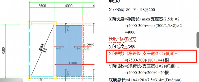 X底筋