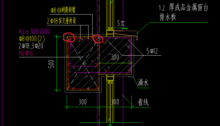 縱筋是什么