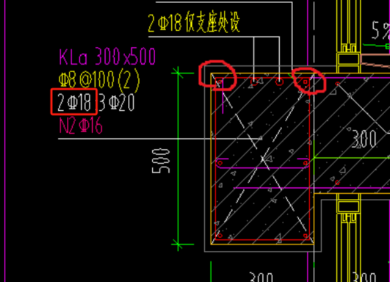 縱筋