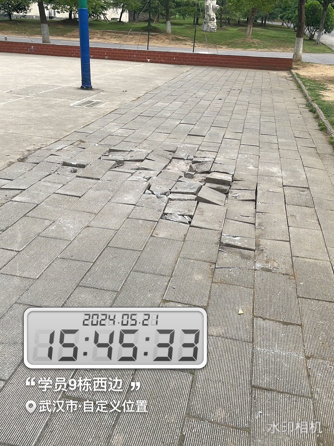 什么磚