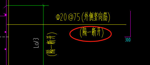 墻鋼筋